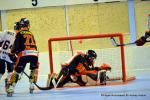 Photo hockey reportage N1 Playdowns : Jusqu'au bout 
