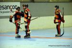 Photo hockey reportage N1 Playdowns : Jusqu'au bout 