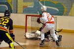 Photo hockey reportage N1 PO : Aupa Artzak !