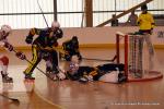 Photo hockey reportage N1 PO : Aupa Artzak !