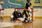 Photo hockey reportage N1 PO : Aupa Artzak !