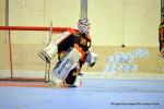 Photo hockey reportage N1 PO : La marche tait trop haute