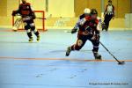 Photo hockey reportage N1 PO : La marche tait trop haute