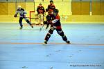 Photo hockey reportage N1 PO : La marche tait trop haute