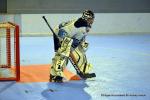 Photo hockey reportage N1 PO : La marche tait trop haute