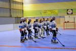 Photo hockey reportage N1 PO : La marche tait trop haute