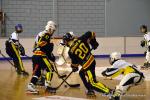 Photo hockey reportage N2 : Dmonstration de force