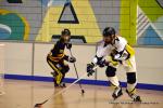 Photo hockey reportage N2 : Dmonstration de force