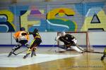 Photo hockey reportage N2 : Et un, et deux, et trois !