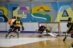 Photo hockey reportage N2 : Et un, et deux, et trois !