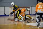 Photo hockey reportage N2 : Et un, et deux, et trois !