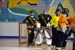 Photo hockey reportage N2 : Et un, et deux, et trois !