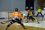 Photo hockey reportage N2 : Et un, et deux, et trois !