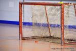 Photo hockey reportage N2 : Et un, et deux, et trois !