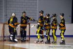 Photo hockey reportage N2 : Et un, et deux, et trois !