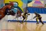 Photo hockey reportage N2 : Les Griffons battus mais pas abattus