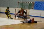 Photo hockey reportage N2 : Les Griffons battus mais pas abattus
