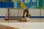 Photo hockey reportage N2 : Les Griffons battus mais pas abattus