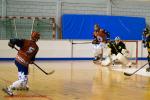 Photo hockey reportage N2 : Les Griffons battus mais pas abattus