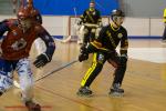 Photo hockey reportage N2 : Les Griffons battus mais pas abattus