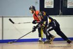 Photo hockey reportage N2 : Les Griffons de Besanon champions !