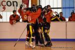 Photo hockey reportage N2 : Les Griffons de Besanon champions !
