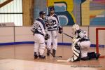 Photo hockey reportage N2 : Les Griffons de Besanon champions !