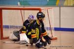 Photo hockey reportage N2 : Les Griffons de Besanon champions !