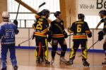 Photo hockey reportage N2 : Les Griffons de Besanon champions !