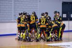 Photo hockey reportage N2 : Les Griffons en promenade
