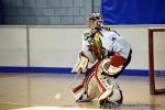 Photo hockey reportage N2 : Les Griffons en promenade