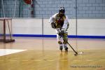 Photo hockey reportage N2 : Les Griffons en promenade