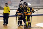 Photo hockey reportage N2 : Les Griffons en promenade