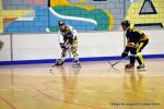 Photo hockey reportage N2 : Les Griffons en promenade