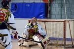 Photo hockey reportage N2 : Les Griffons en promenade