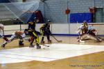 Photo hockey reportage N2 : Les Griffons en promenade
