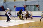 Photo hockey reportage N2 : Les Griffons en promenade