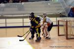 Photo hockey reportage N2 : Les Griffons en promenade