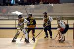 Photo hockey reportage N2 : Les Griffons en promenade