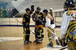 Photo hockey reportage N2 : Les Griffons en promenade