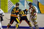 Photo hockey reportage N2 : Les Griffons en promenade