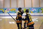 Photo hockey reportage N2 : Les Griffons en promenade