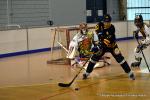 Photo hockey reportage N2 : Les Griffons en promenade