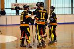 Photo hockey reportage N2 : Les Griffons en promenade