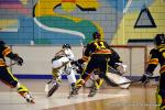 Photo hockey reportage N2 : Les Griffons en promenade
