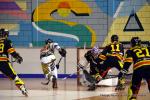 Photo hockey reportage N2 : Les Griffons en promenade