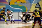 Photo hockey reportage N2 : Les Griffons en promenade