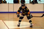 Photo hockey reportage N2 : Les Griffons en promenade