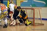 Photo hockey reportage N2 : Les Griffons en promenade