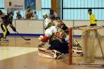 Photo hockey reportage N2 : Les Griffons en promenade
